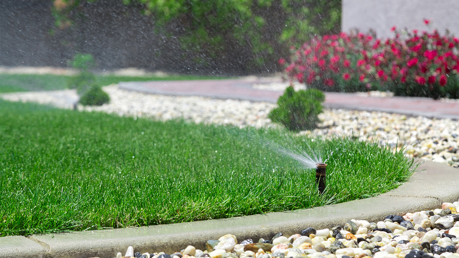 Automatic sprinklers watering grass in front of home