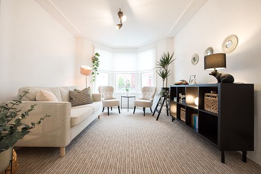 Bright living room with carpet and lounge chairs