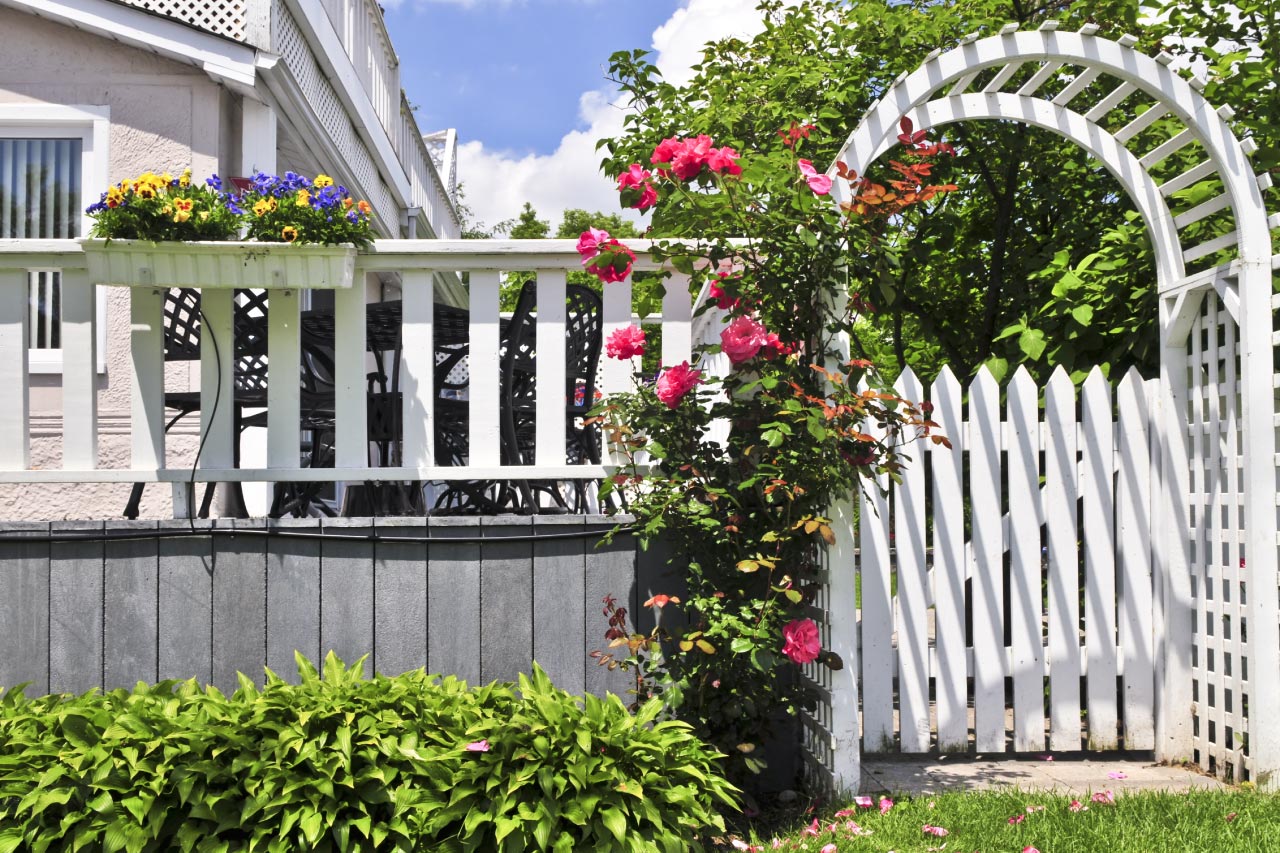A white arbor with red blooming roses in a garden
