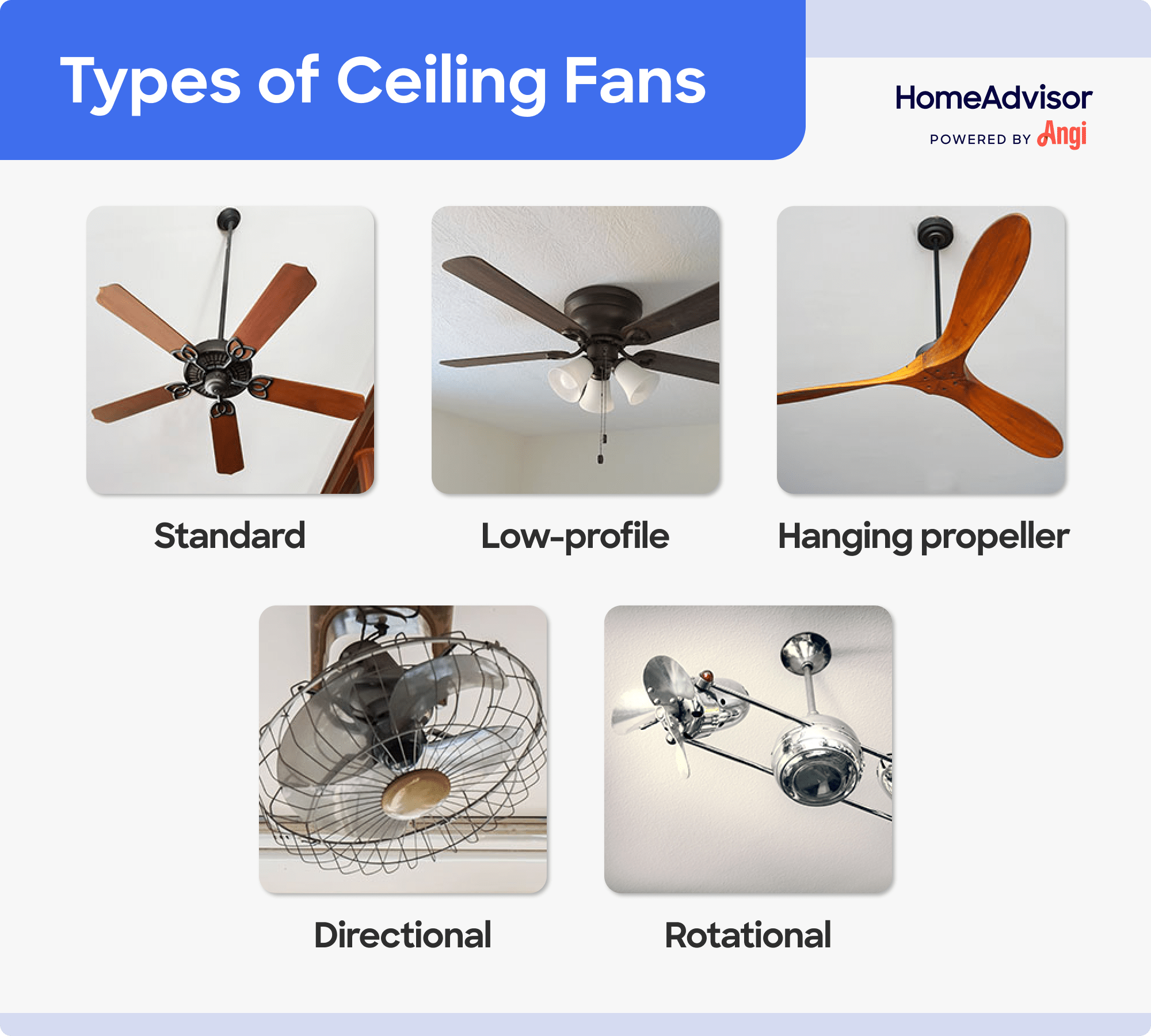 5 ceiling fan types compared visually, including standard, hanging propeller, and rotational