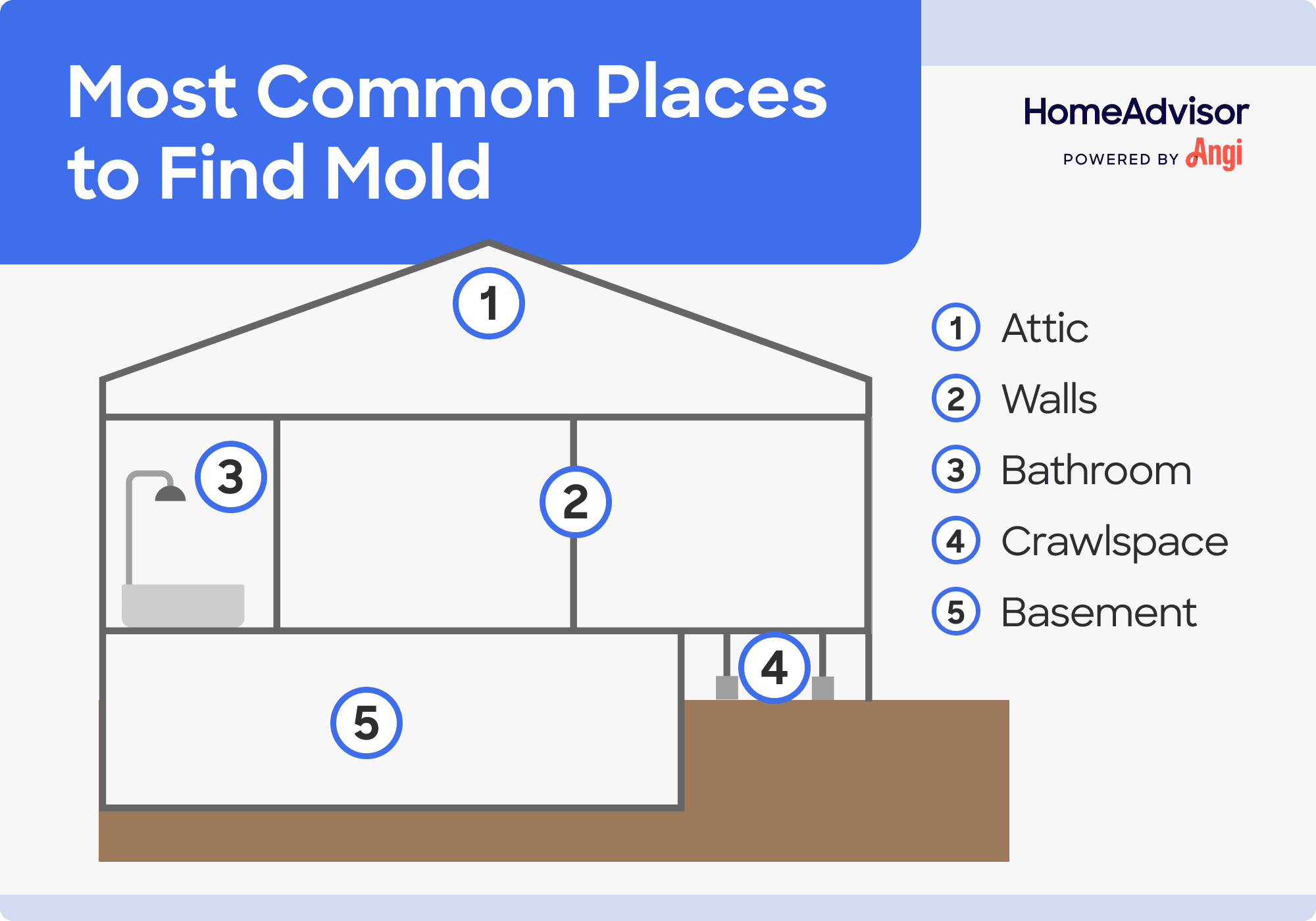 5 common places to find mold illustrated, including attic, walls, and bathroom